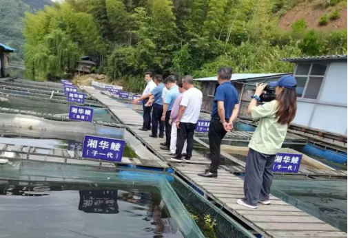 長沙拜特生物科技研究所有限公司,動物用注射藥,長沙動物用口服液,拜特水產(chǎn)藥,微生態(tài)制劑,動物用粉散劑,拜特生物科技